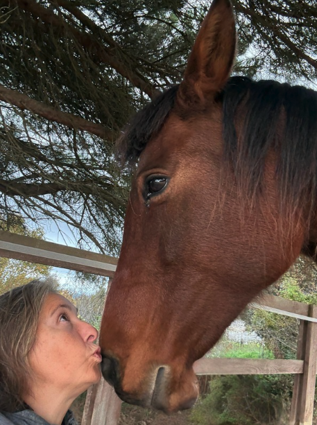 Nona caballo