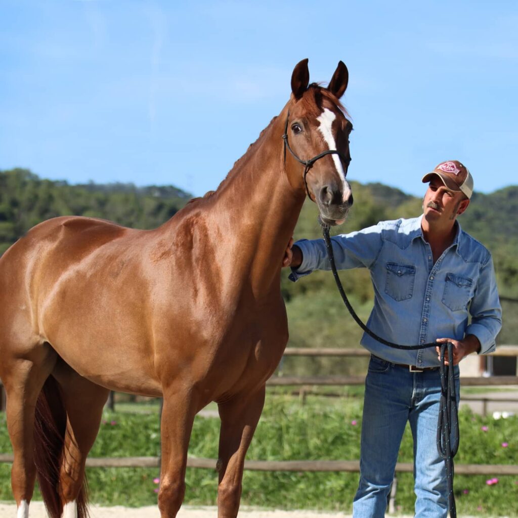 sergio vidal caballos
